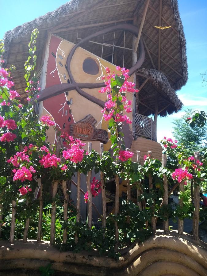Raizes Eco Hostel Barra Grande  Exteriör bild