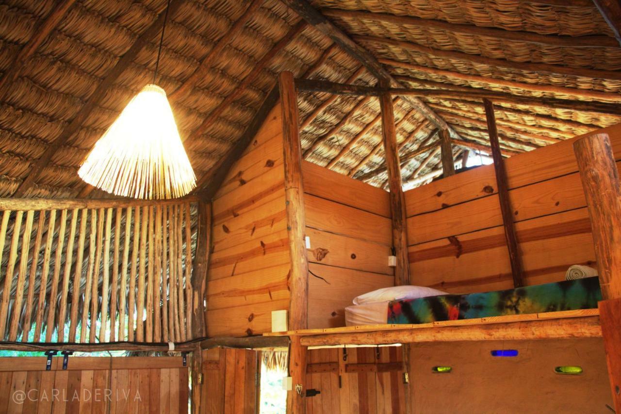 Raizes Eco Hostel Barra Grande  Exteriör bild